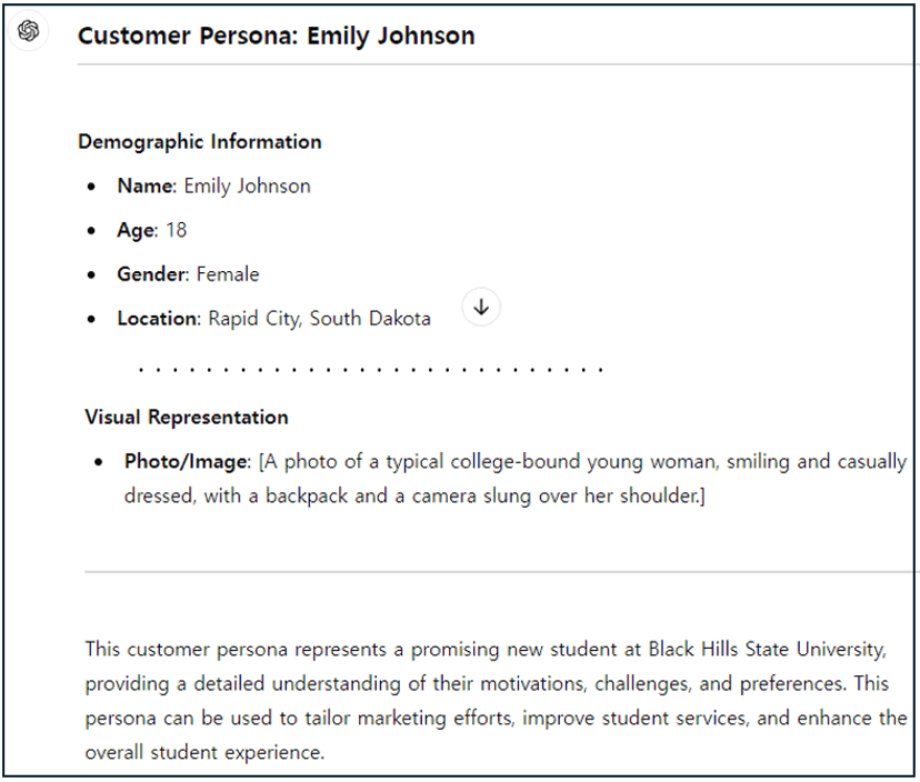 Customer persona